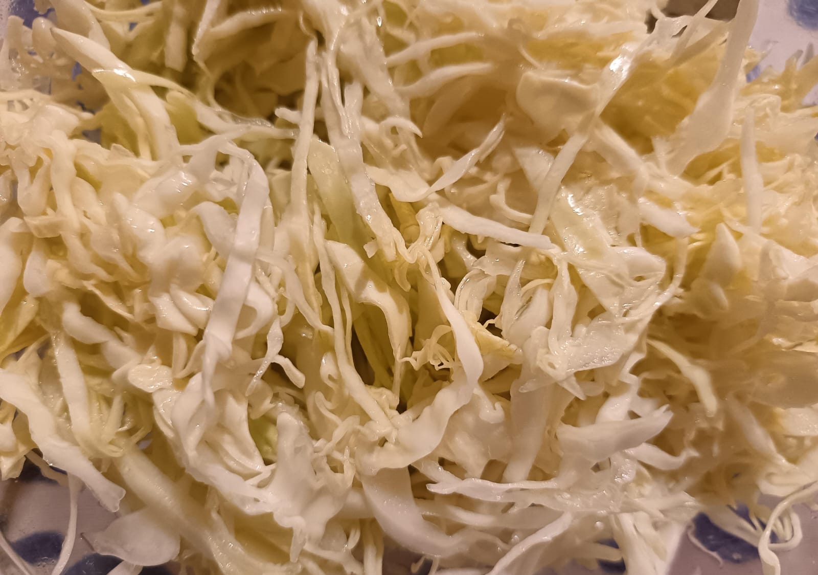 IL CAVOLO CAPPUCCIO