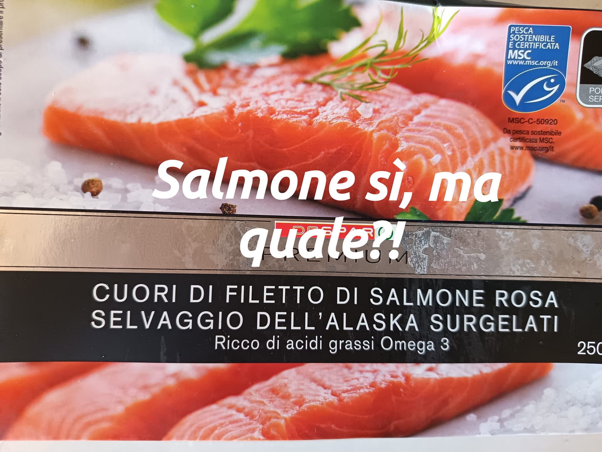 Salmone sì, ma quale?