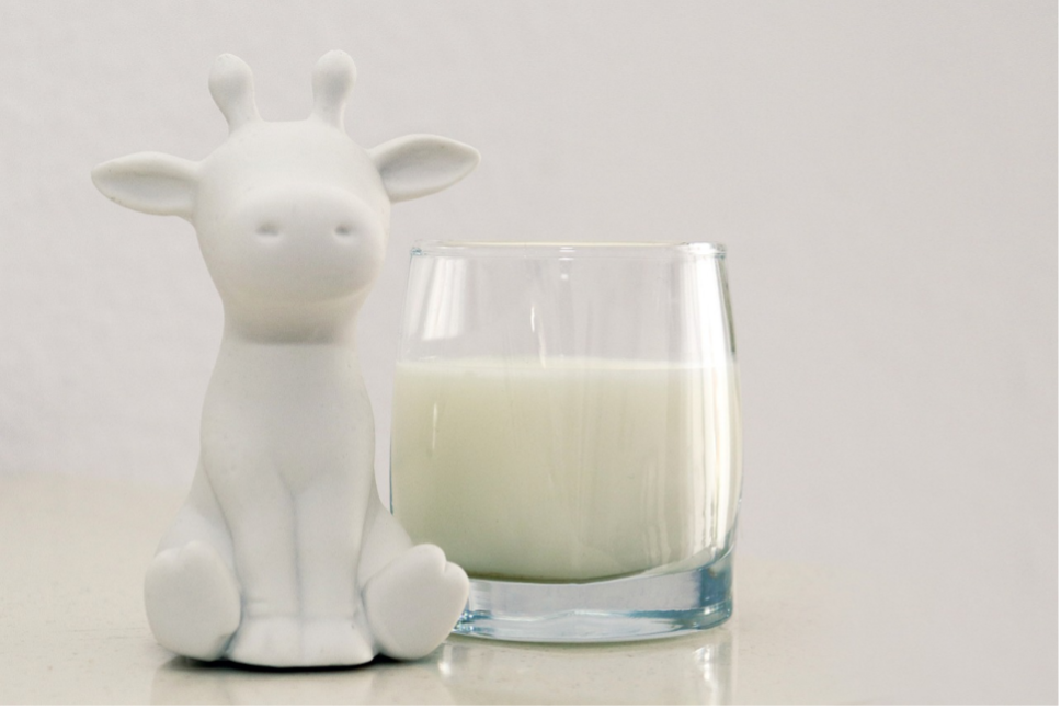 L’OSTEOPOROSI NON SI CURA COL LATTE!!